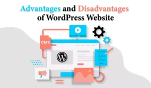 advantages & disadvantages of wordpress website