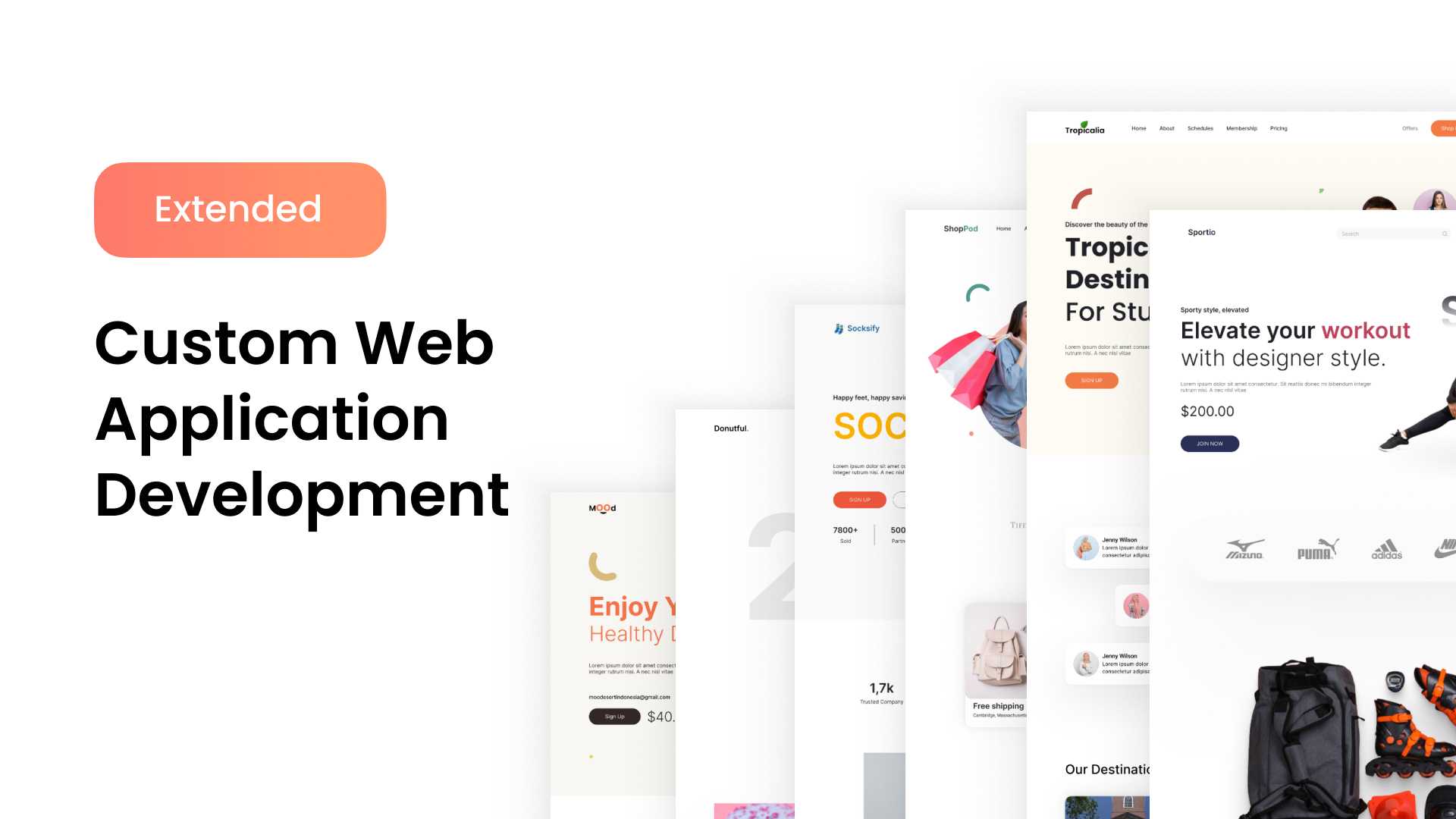 Custom Web Application Development Banner